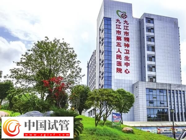 九江市第五人民医院试管婴儿囊胚移植成功率有多高?(图1) 九江市第五人民医院试管婴儿囊胚移植成功率有多高?(图1)