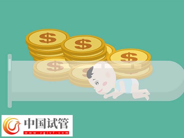 新余做试管婴儿需要三万元左右吗?(图1) 新余做试管婴儿需要三万元左右吗?(图1)