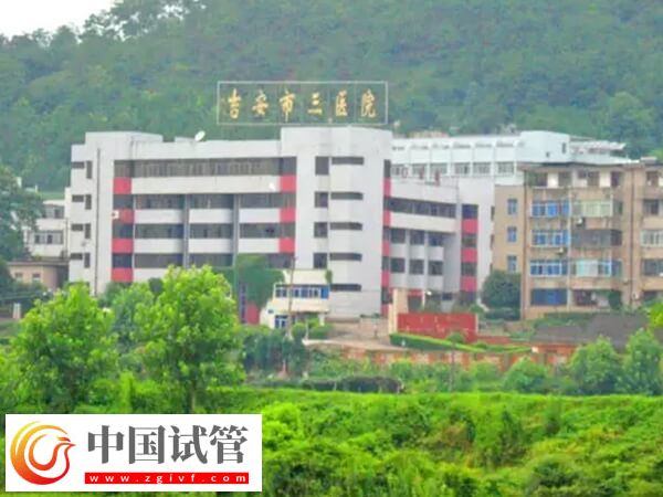 吉安市第三人民医院二代试管穿刺取精的成功率高吗?(图1) 吉安市第三人民医院二代试管穿刺取精的成功率高吗?(图1)