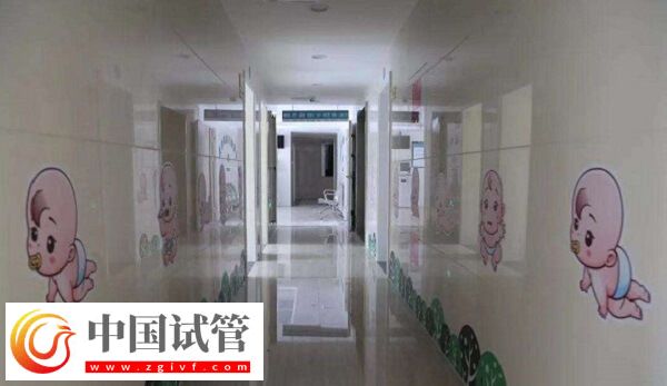 湖州试管婴儿医院成功率排名比较好的有哪些?(图1) 湖州试管婴儿医院成功率排名比较好的有哪些?(图1)
