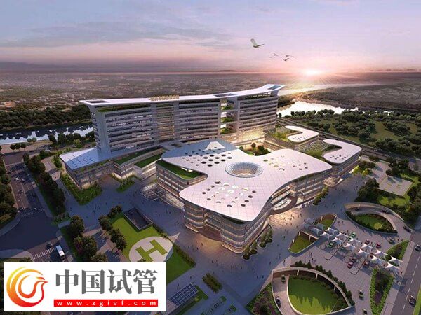 绍兴市妇幼保健院做试管婴儿哪个医生好?(图1) 绍兴市妇幼保健院做试管婴儿哪个医生好?(图1)