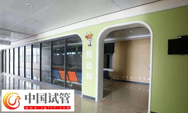 衢州妇保院陈洁瑛和方玉医生哪个助孕成功率更高?(图1) 衢州妇保院陈洁瑛和方玉医生哪个助孕成功率更高?(图1)