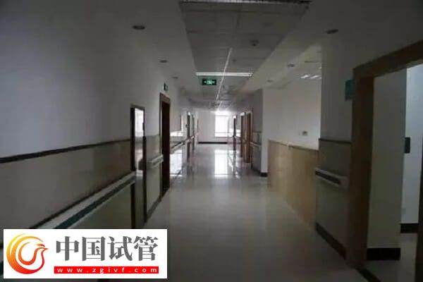 衢州公立试管医院中成功率排名第一的是哪家?(图1) 衢州公立试管医院中成功率排名第一的是哪家?(图1)