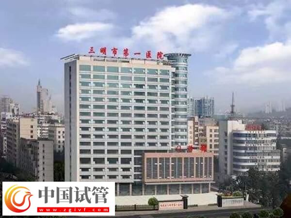 三明第一医院生殖科黄新琳医生助孕技术怎么样?(图1) 三明第一医院生殖科黄新琳医生助孕技术怎么样?(图1)