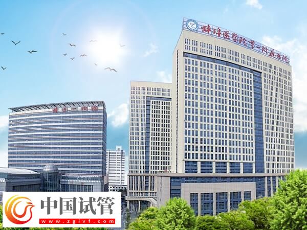 蚌医一附院做一次一代试管婴儿准备5万元够不够?(图1) 蚌医一附院做一次一代试管婴儿准备5万元够不够?(图1)