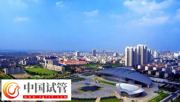 淮南有供卵的医院吗?(图1) 淮南有供卵的医院吗?(图1)