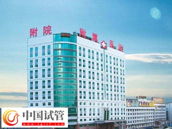 北华附院生殖中心张弘医生做试管婴儿好不好?(图1) 北华附院生殖中心张弘医生做试管婴儿好不好?(图1)