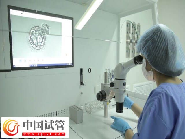 试管移植优胚为什么会出现空囊(图1) 试管移植优胚为什么会出现空囊(图1)