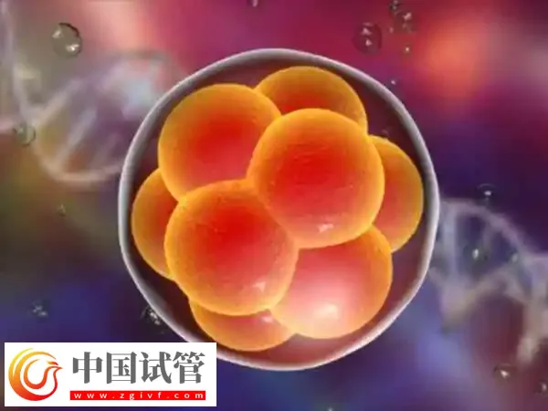 胚胎着床期不吃早餐有没有影响(图1) 胚胎着床期不吃早餐有没有影响(图1)