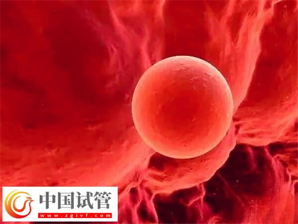 臀位看男女方法确实坑人,当心胎位不正小事变大事(图1) 臀位看男女方法确实坑人,当心胎位不正小事变大事(图1)