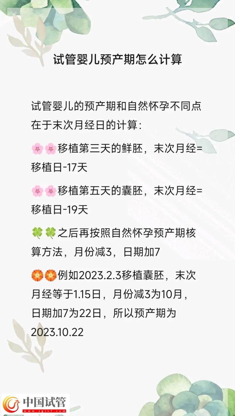 试管婴儿的孕期计算方法(图1)