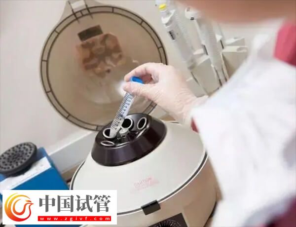 D6胚胎的质量好还是D5的好(图1) D6胚胎的质量好还是D5的好(图1)
