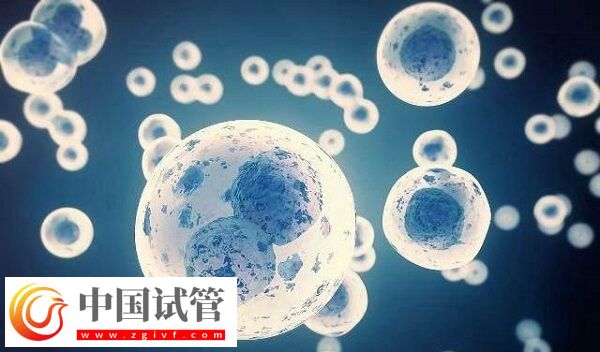 精子活力低做试管怎么办(图1) 精子活力低做试管怎么办(图1)