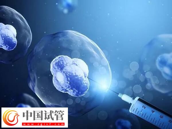 高龄做试管婴儿怎么调理身体(图1) 高龄做试管婴儿怎么调理身体(图1)