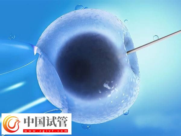 移植鲜胚后多久着床(图2) 移植鲜胚后多久着床(图2)