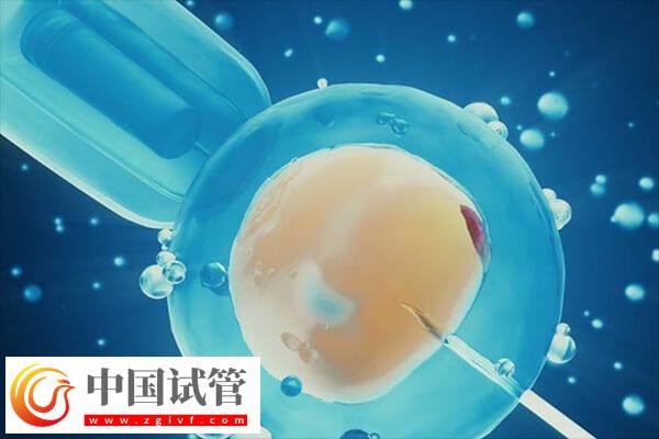 移植鲜胚后多久着床(图1) 移植鲜胚后多久着床(图1)