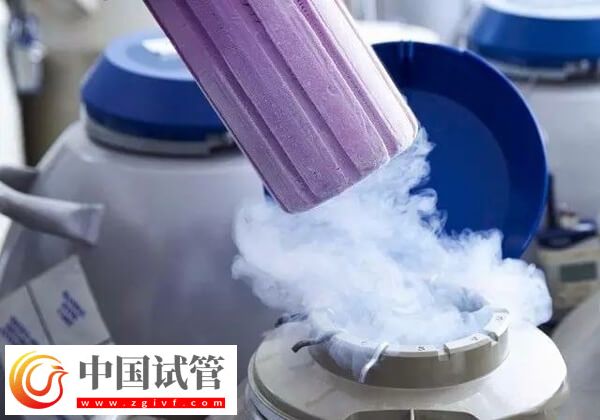 试管移植后剩余的胚胎怎么处理(图1) 试管移植后剩余的胚胎怎么处理(图1)