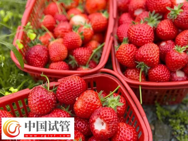 试管移植后能吃哪些水果(图2) 试管移植后能吃哪些水果(图2)