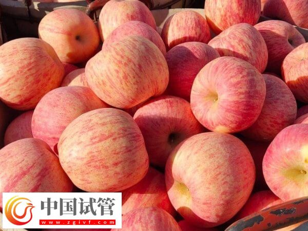 试管移植后能吃哪些水果(图1) 试管移植后能吃哪些水果(图1)