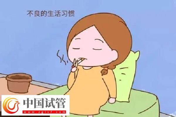 盘点一天一片还是隔天一片替勃龙片好,能不能间断吃看这(图3) 盘点一天一片还是隔天一片替勃龙片好,能不能间断吃看这(图3)