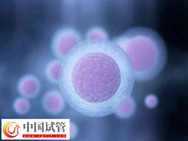 胚胎移植第11天肚子刺疼怎么回事(图2) 胚胎移植第11天肚子刺疼怎么回事(图2)