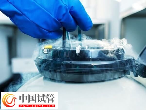 冻胚移植后孕酮雌二醇都正常怀孕率多高(图2) 冻胚移植后孕酮雌二醇都正常怀孕率多高(图2)