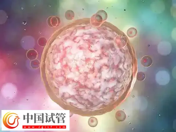 冻胚移植后孕酮雌二醇都正常怀孕率多高(图1) 冻胚移植后孕酮雌二醇都正常怀孕率多高(图1)