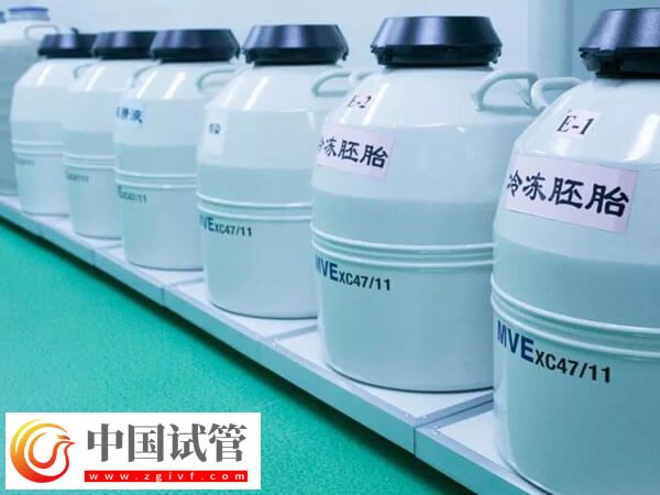 试管婴儿CET和FET是什么意思(图1) 试管婴儿CET和FET是什么意思(图1)