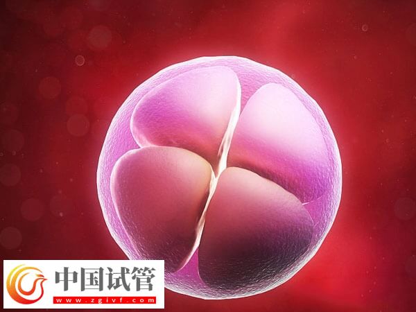导致胚胎移植失败的因素是什么(图2) 导致胚胎移植失败的因素是什么(图2)