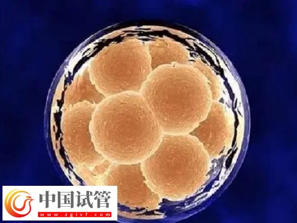 试管囊胚4cb和3ab哪个好一点(图2) 试管囊胚4cb和3ab哪个好一点(图2)