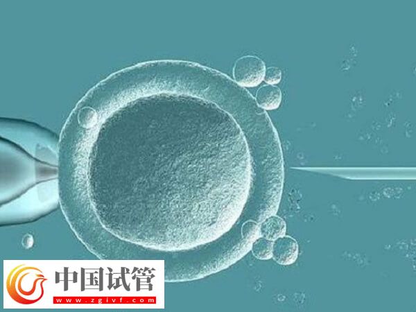 试管囊胚4cb和3ab哪个好一点(图1) 试管囊胚4cb和3ab哪个好一点(图1)