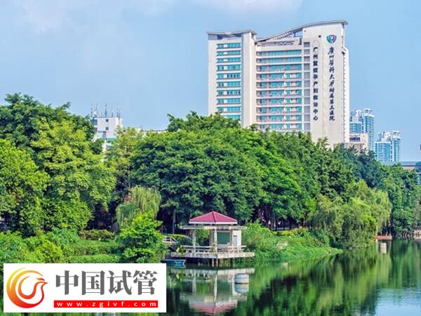 广州三代试管医院有哪些(图2) 广州三代试管医院有哪些(图2)