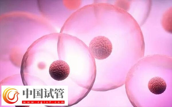 成都做试管婴儿哪家好(图1) 成都做试管婴儿哪家好(图1)