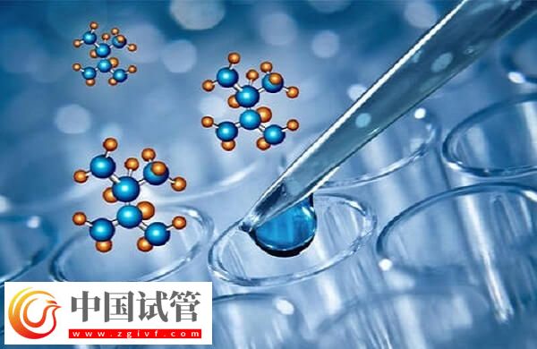 广州能生男孩的试管医院有哪些(图1) 广州能生男孩的试管医院有哪些(图1)