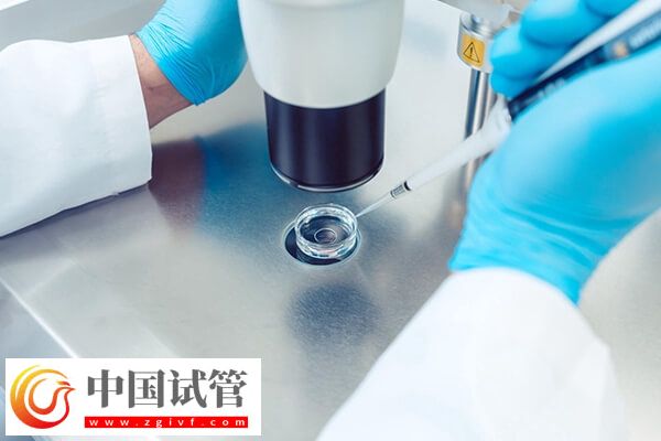 深圳做试管婴儿多少钱(图1) 深圳做试管婴儿多少钱(图1)