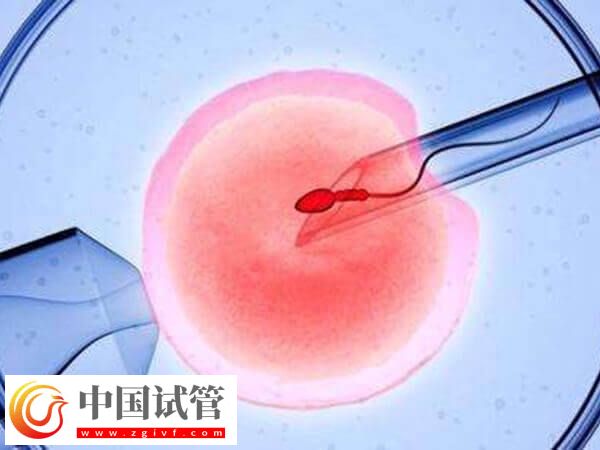 钦州妇幼试管婴儿需要多少钱?(图2) 钦州妇幼试管婴儿需要多少钱?(图2)
