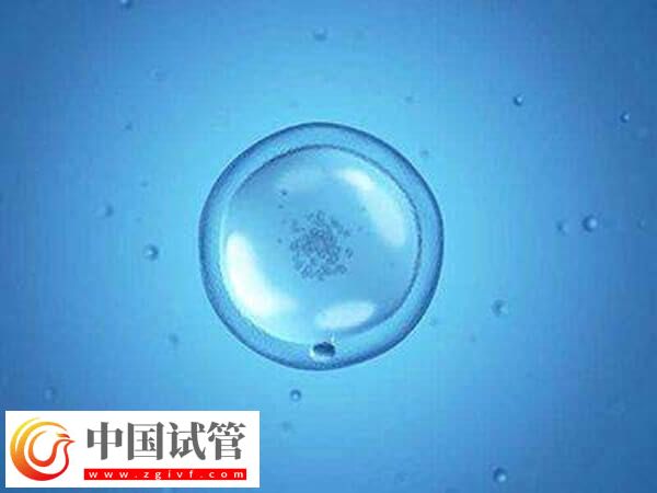 宁波不育不孕医院有哪些(图1) 宁波不育不孕医院有哪些(图1)