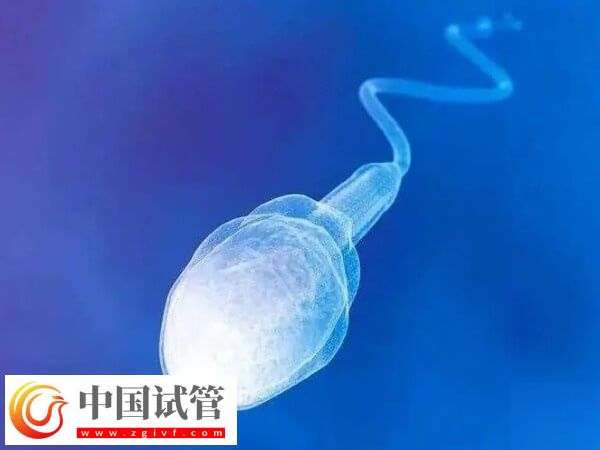 上海九院试管流程是什么(图2)