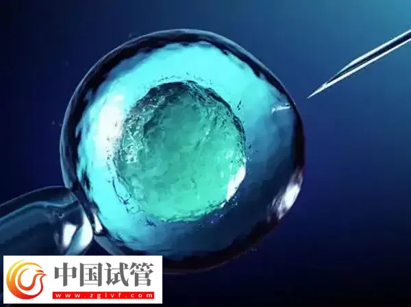 4BB囊胚PGS检测成功率多高(图1) 4BB囊胚PGS检测成功率多高(图1)