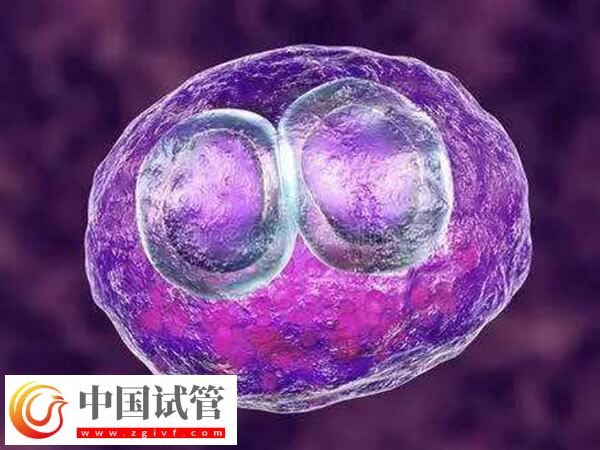 促排当月就移植入子宫好不好(图2) 促排当月就移植入子宫好不好(图1)
