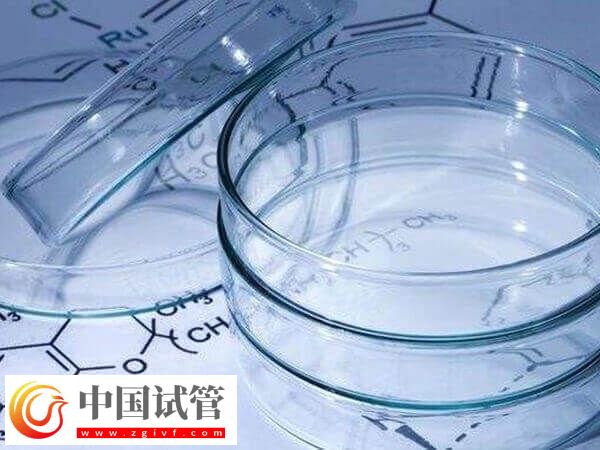 免疫球蛋白在胚胎移植第几天打(图1) 免疫球蛋白在胚胎移植第几天打(图1)