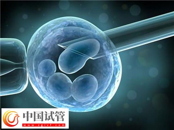 三代试管pgs检测一个胚胎多少钱(图1) 三代试管pgs检测一个胚胎多少钱(图1)