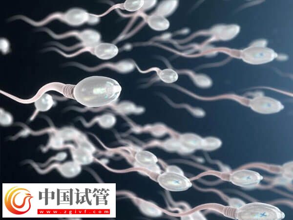 艾滋病洗精费用是多少(图1) 艾滋病洗精费用是多少(图1)