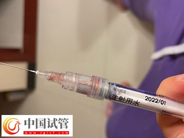 思则凯和果纳芬区别是什么(图1) 思则凯和果纳芬区别是什么(图1)