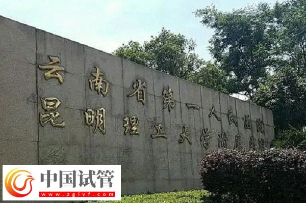 昆华医院试管婴儿哪个医生做的好(图2) 昆华医院试管婴儿哪个医生做的好(图2)