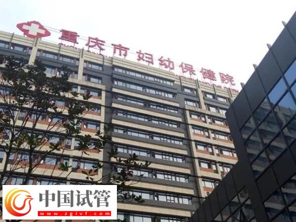 重庆七星岗妇幼保健院试管成功率高不高(图1) 重庆七星岗妇幼保健院试管成功率高不高(图1)