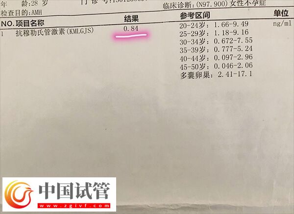 amh低会不会有优势卵泡发育(图2) amh低会不会有优势卵泡发育(图2)