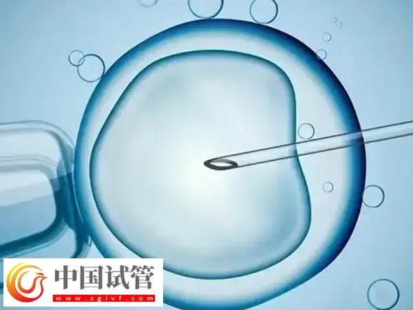 amh0.38试管有没有成功的(图2) amh0.38试管有没有成功的(图2)