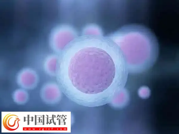 胚胎筛选和性别筛选是否一样(图3) 胚胎筛选和性别筛选是否一样(图3)