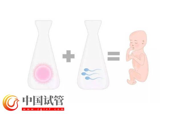 能不能做第四代试管婴儿了(图2) 能不能做第四代试管婴儿了(图2)